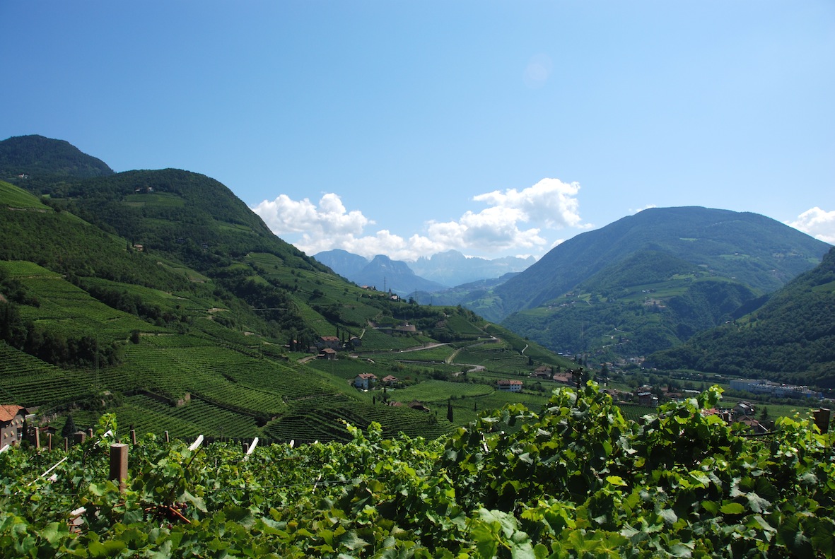 Trentino_2.SMaddalena