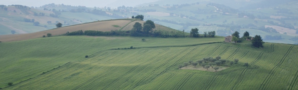 Policolture-di-Loretello (1)